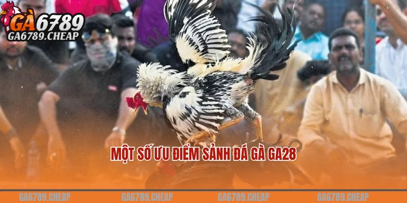 Một số ưu điểm sảnh đá gà GA28 đem lại cho người chơi